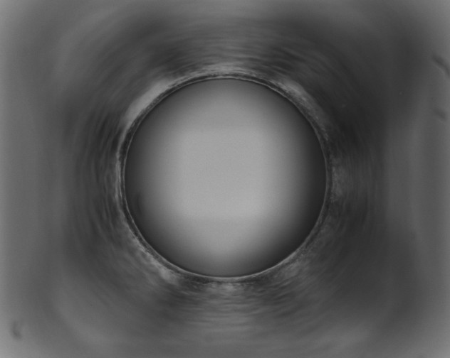 X0000101991286200807181139