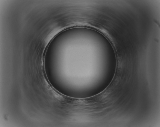 X0000101991287200807181139