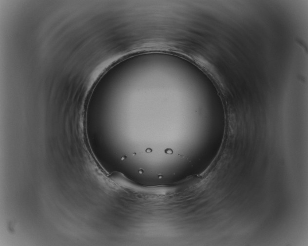 X0000101991288200807181139