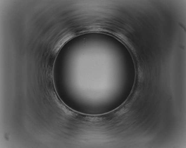 X0000101991289200807181139