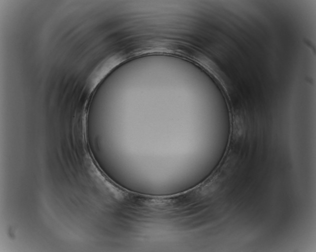 X0000101991290200807181139