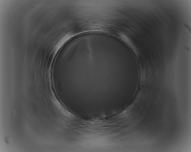 X0000101991291200807181139