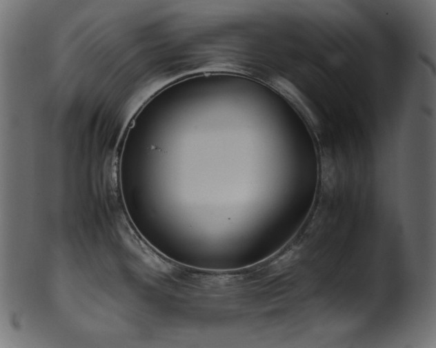 X0000101991292200807181139