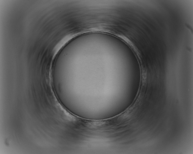 X0000101991294200807181139
