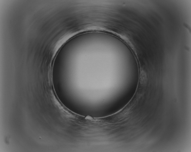 X0000101991295200807181139