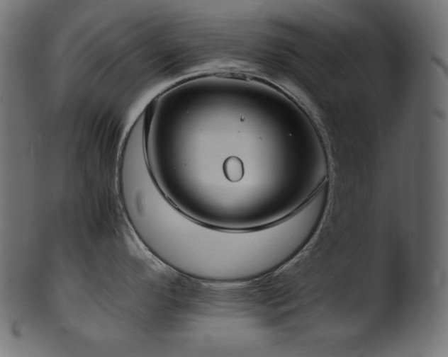 X0000101991296200807181139