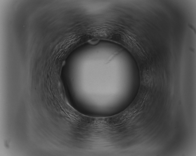 X0000101991297200807181138