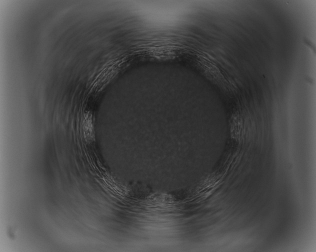 X0000101991298200807181138