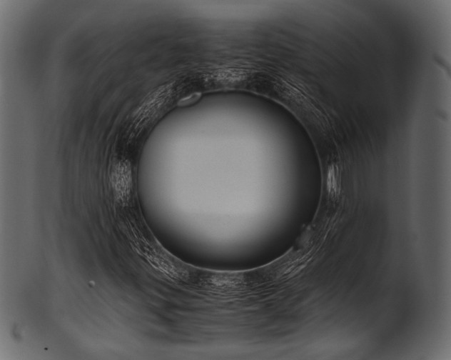 X0000101991299200807181138