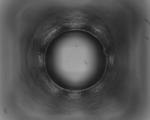 X0000101991300200807181138