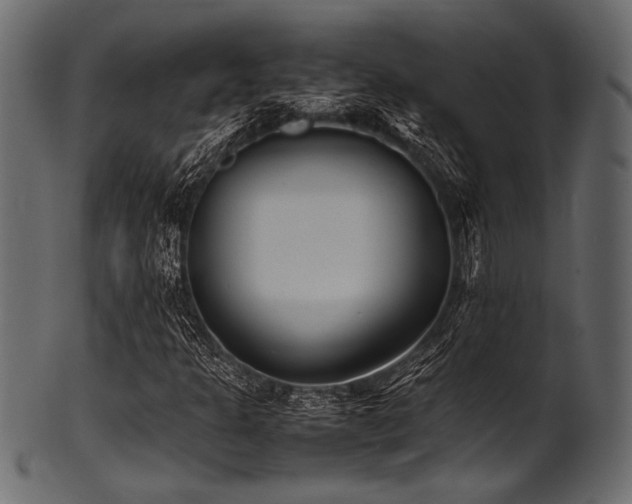 X0000101991301200807181138