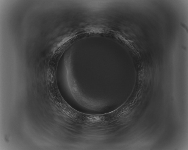 X0000101991303200807181138