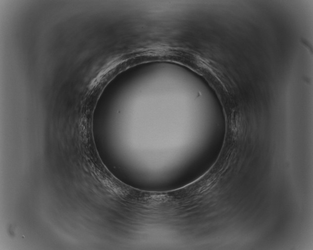 X0000101991304200807181138