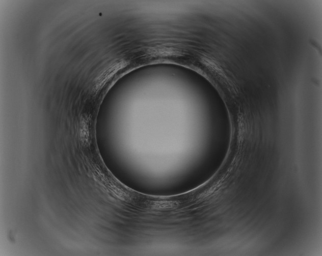 X0000101991305200807181138