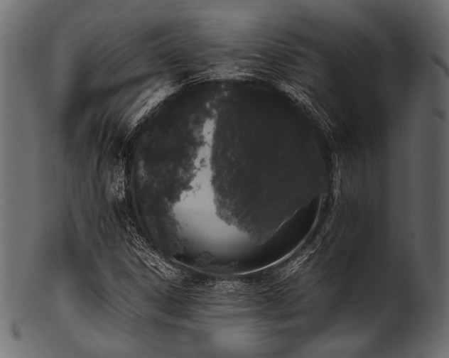 X0000101991306200807181138