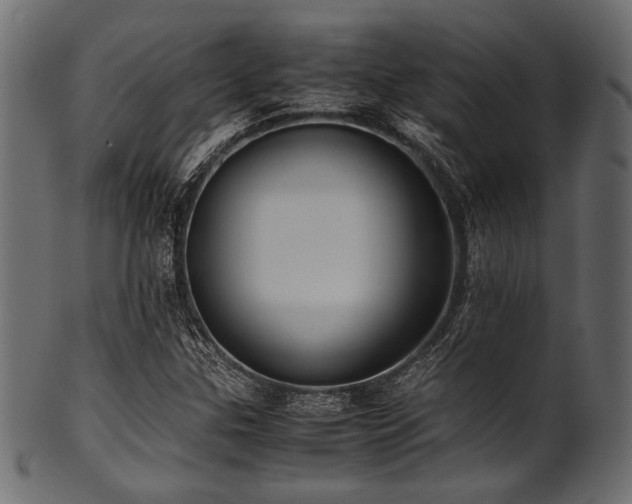 X0000101991307200807181139