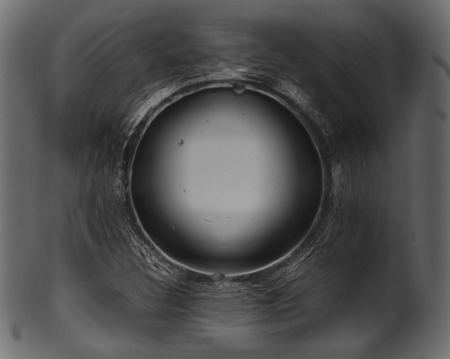 X0000101991308200807181139
