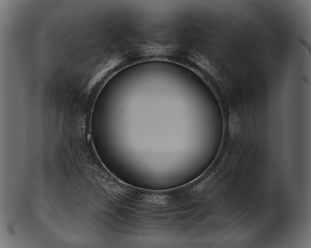 X0000101991309200807181139