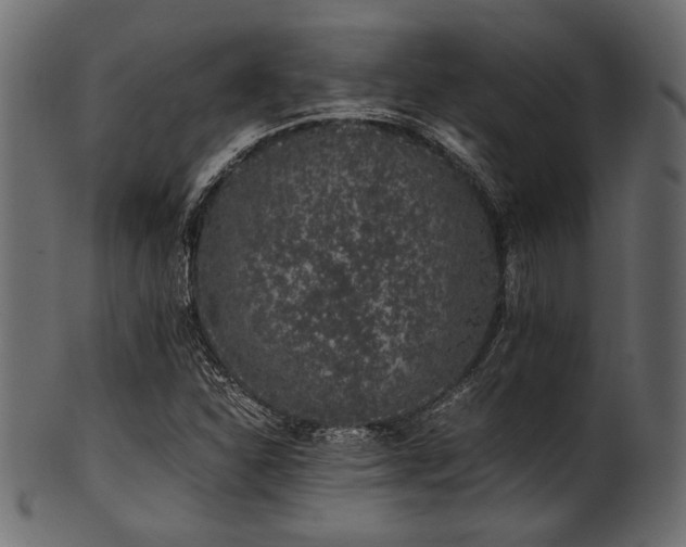 X0000101991310200807181139