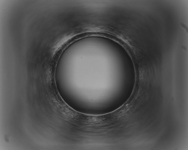 X0000101991311200807181139