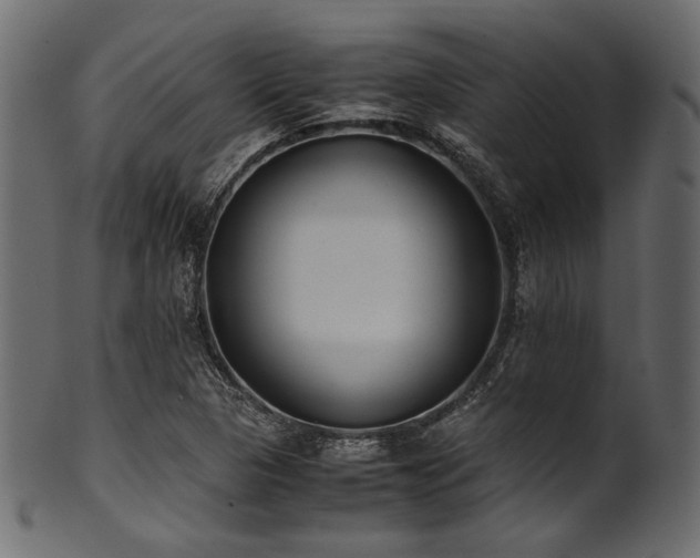 X0000101991313200807181139