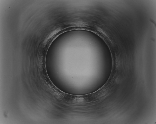 X0000101991315200807181139
