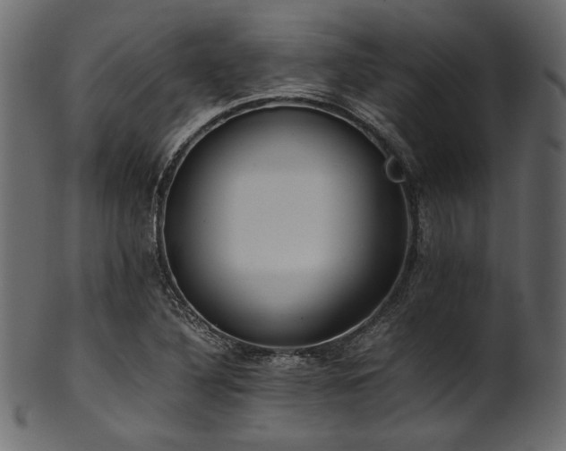 X0000101991316200807181139