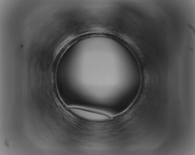 X0000101991318200807181139