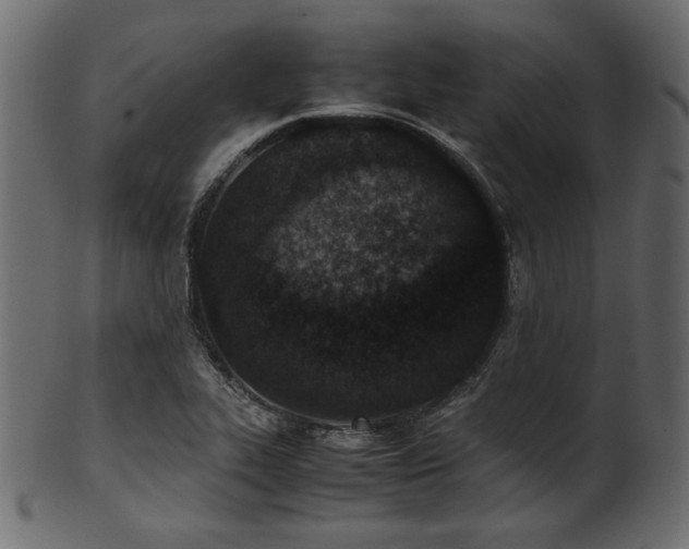 X0000101991319200807181139