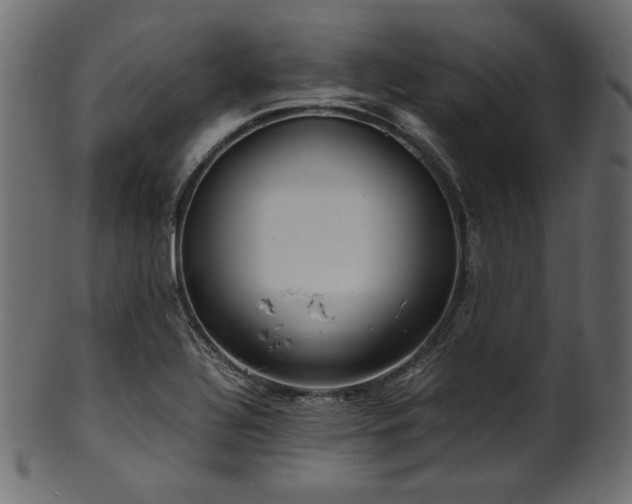 X0000101991320200807181139