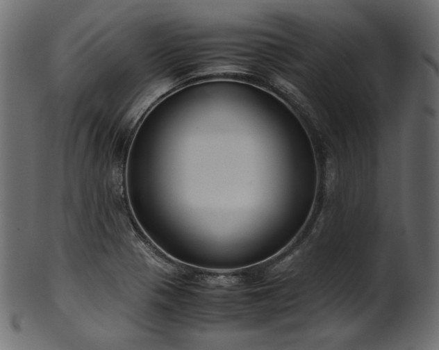 X0000101991321200807181139