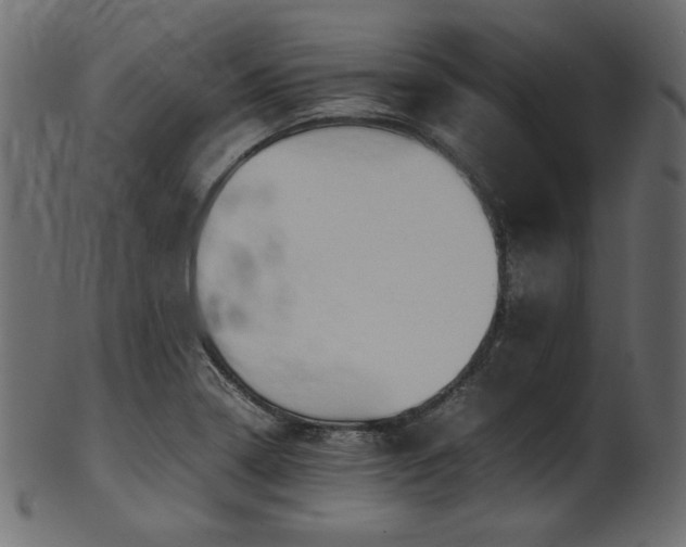 X0000101991322200807181139