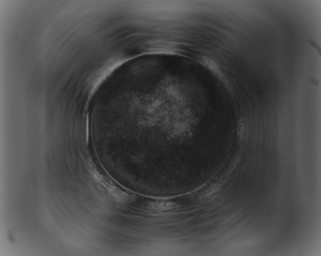 X0000101991323200807181139