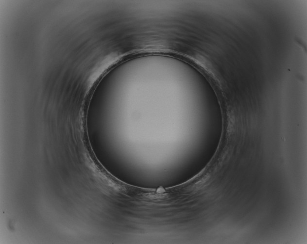 X0000101991325200807181139