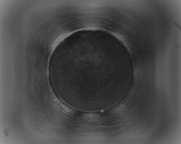 X0000101991327200807181139