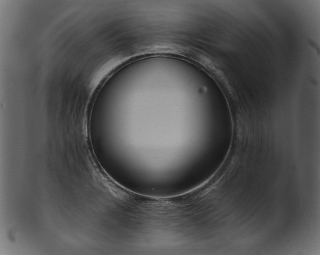 X0000101991328200807181139