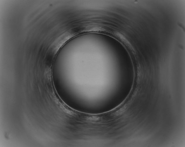 X0000101991329200807181139