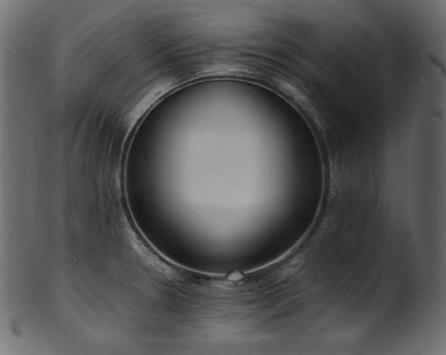 X0000101991330200807181139