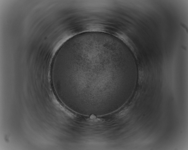 X0000101991331200807181139