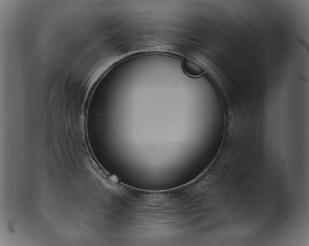 X0000101991332200807181139