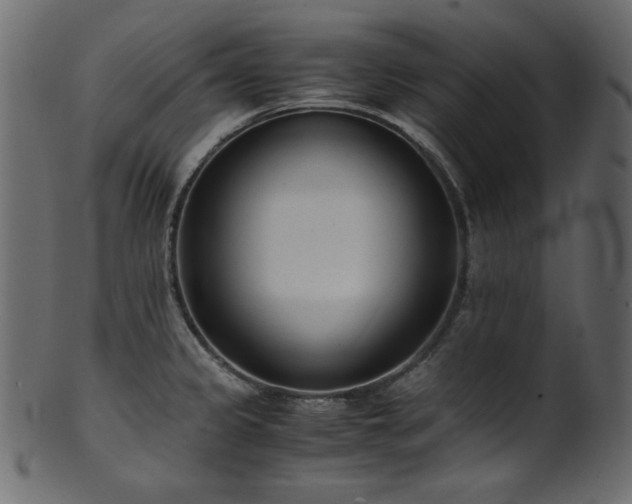 X0000101991333200807181139