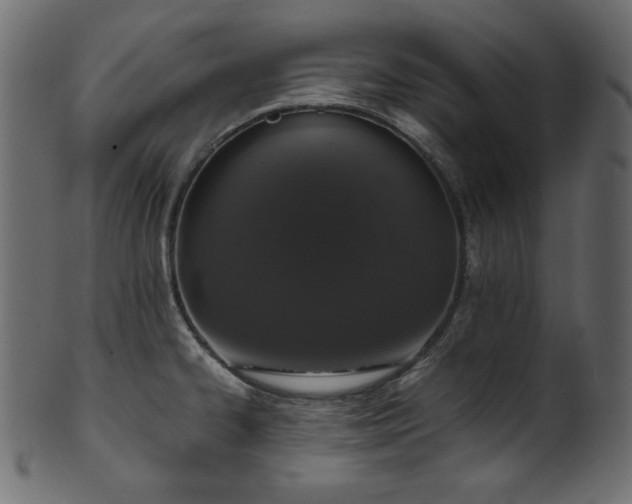 X0000101991334200807181139