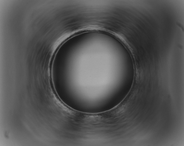 X0000101991335200807181139