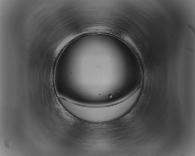 X0000101991336200807181139