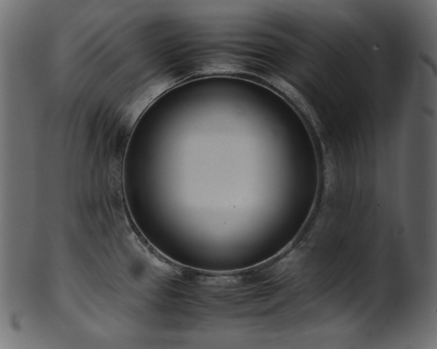 X0000101991337200807181139