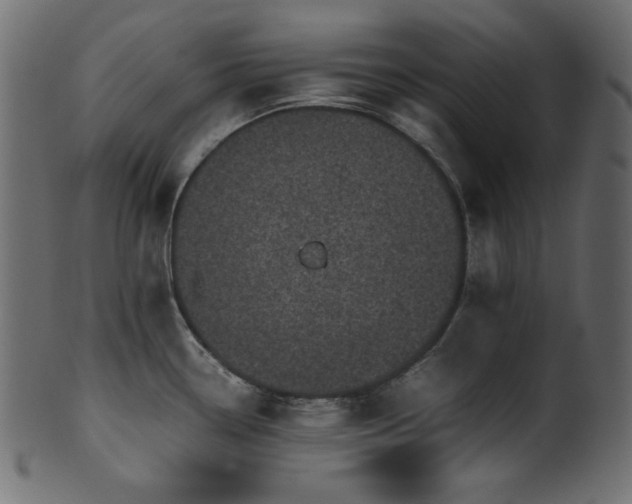 X0000101991338200807181139