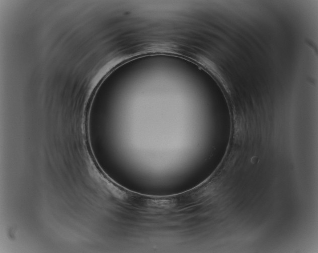 X0000101991339200807181139