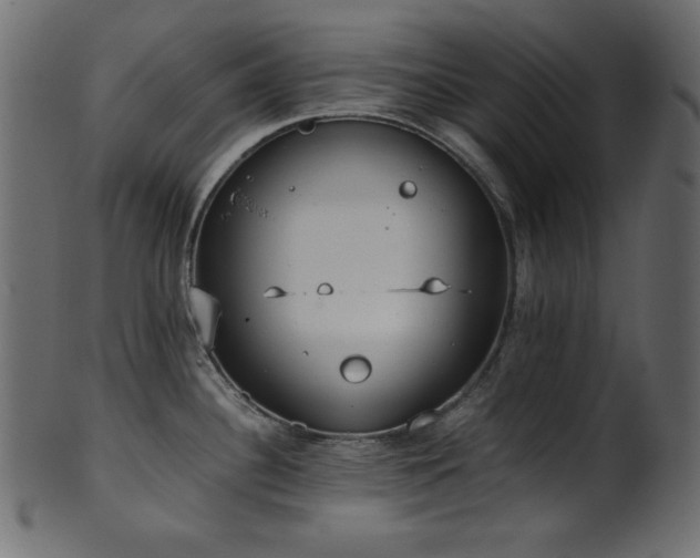 X0000101991340200807181139