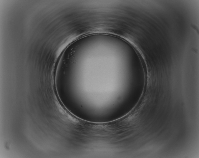 X0000101991341200807181139