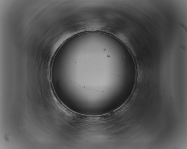 X0000101991342200807181139